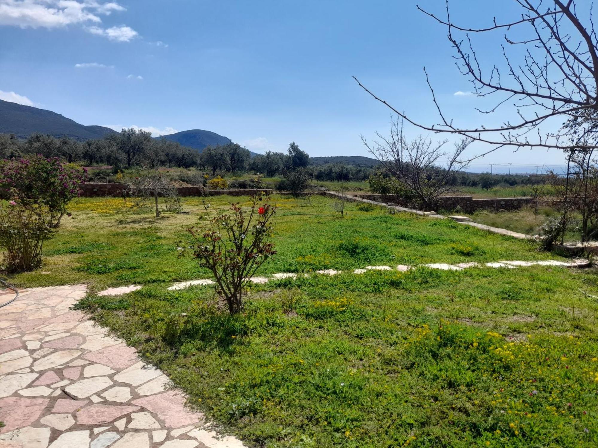 “Villa Othon-Leni” Paralia Demonias エクステリア 写真