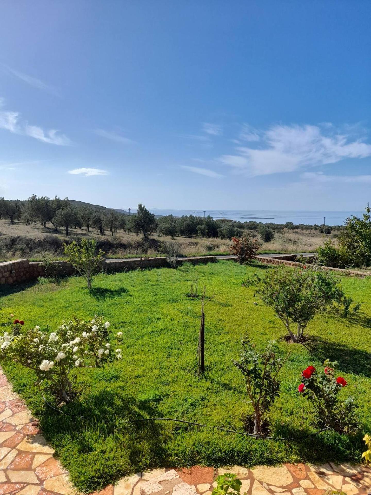 “Villa Othon-Leni” Paralia Demonias エクステリア 写真