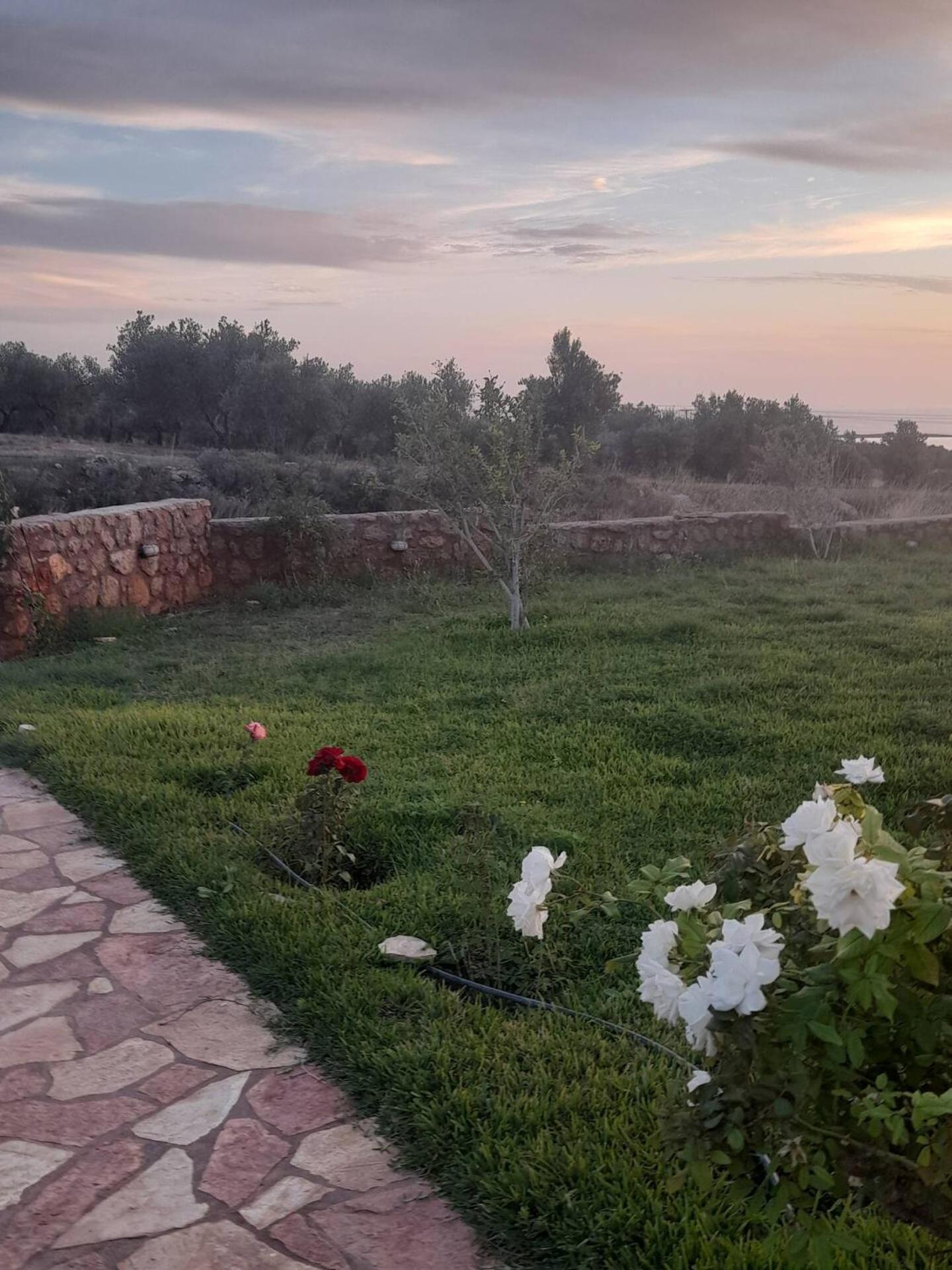 “Villa Othon-Leni” Paralia Demonias エクステリア 写真